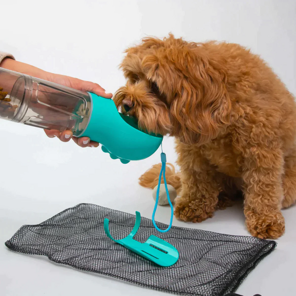 3-in-1 Dog Bottle