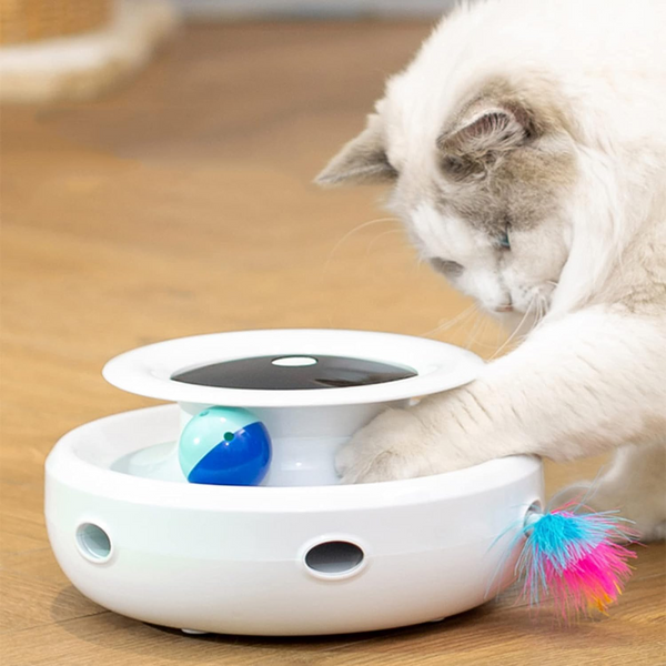 Remote Smart Cat Toy