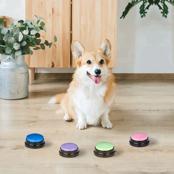 Pet Training Buzzer