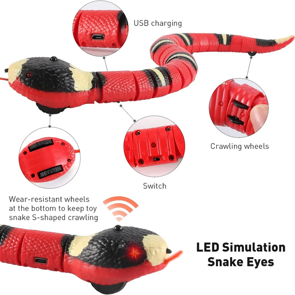 Magic Snake Smart Toy