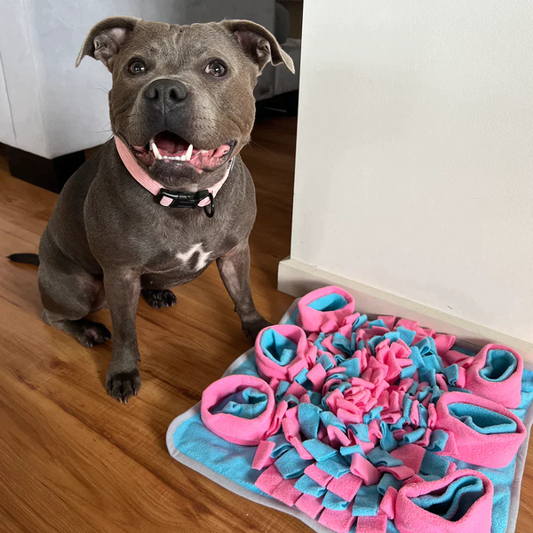 Sniffing Stress Release Mat