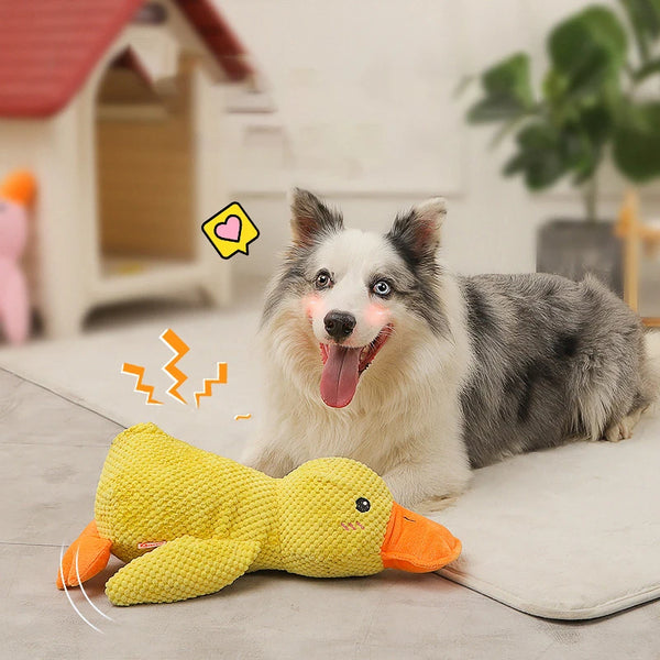 Quack-Quack Duck Toy