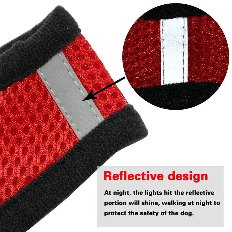 Adjustable Dog Harness