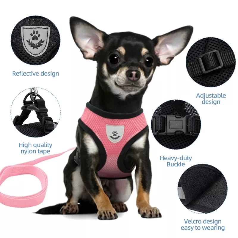 Adjustable Dog Harness