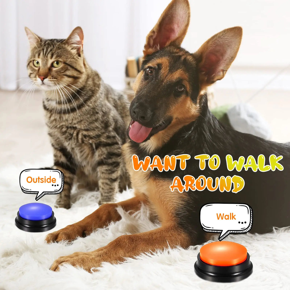 Pet Training Buzzer